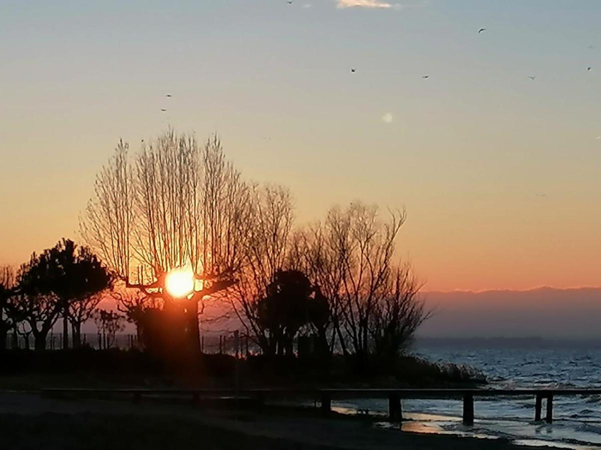 Villa La Magnolia - Private Beach Access, Garden, Views Lazise Buitenkant foto